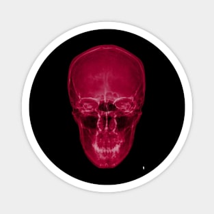 Coloured skull , red X-ray skull. Magnet